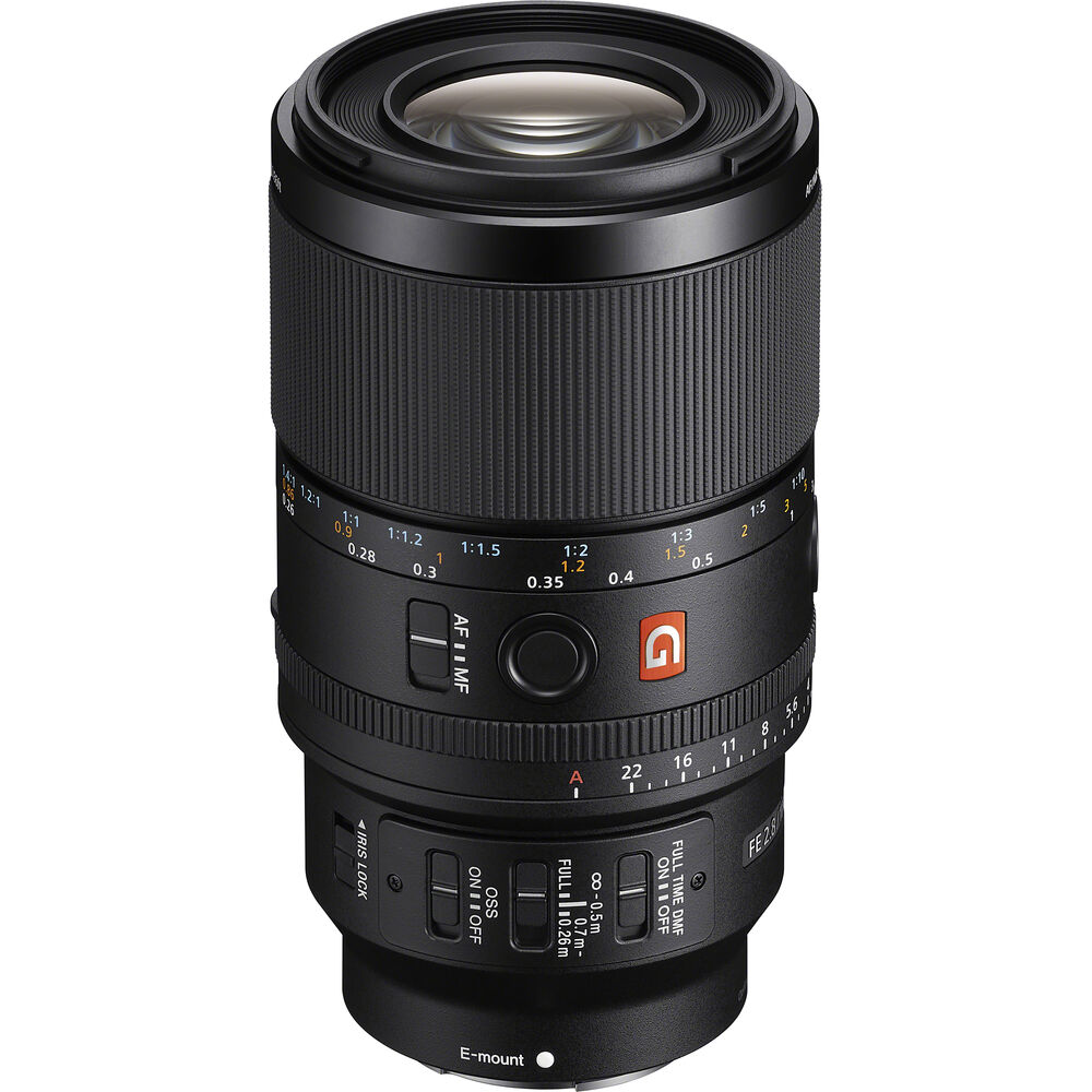 Sony FE 100mm f/2.8 Macro GM Lens